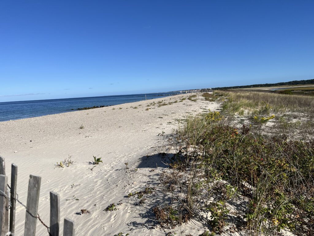 a sandy beach with a fence (MyCoast AI)