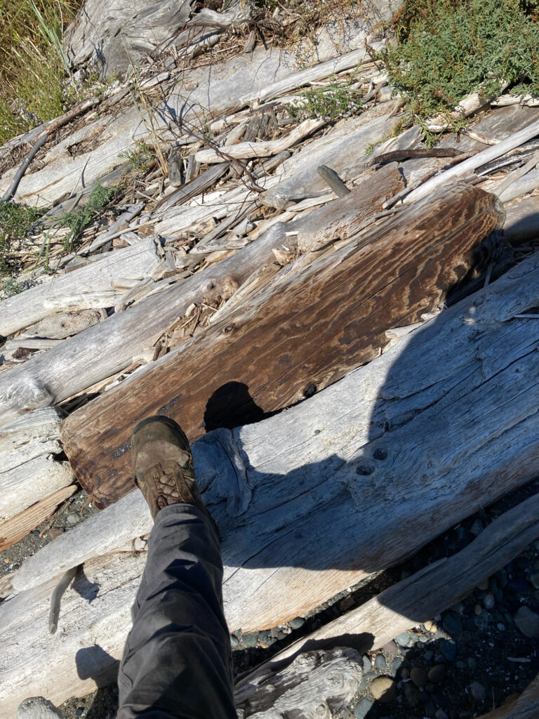 a person's legs and feet on a wooden bridge over a river (MyCoast AI)