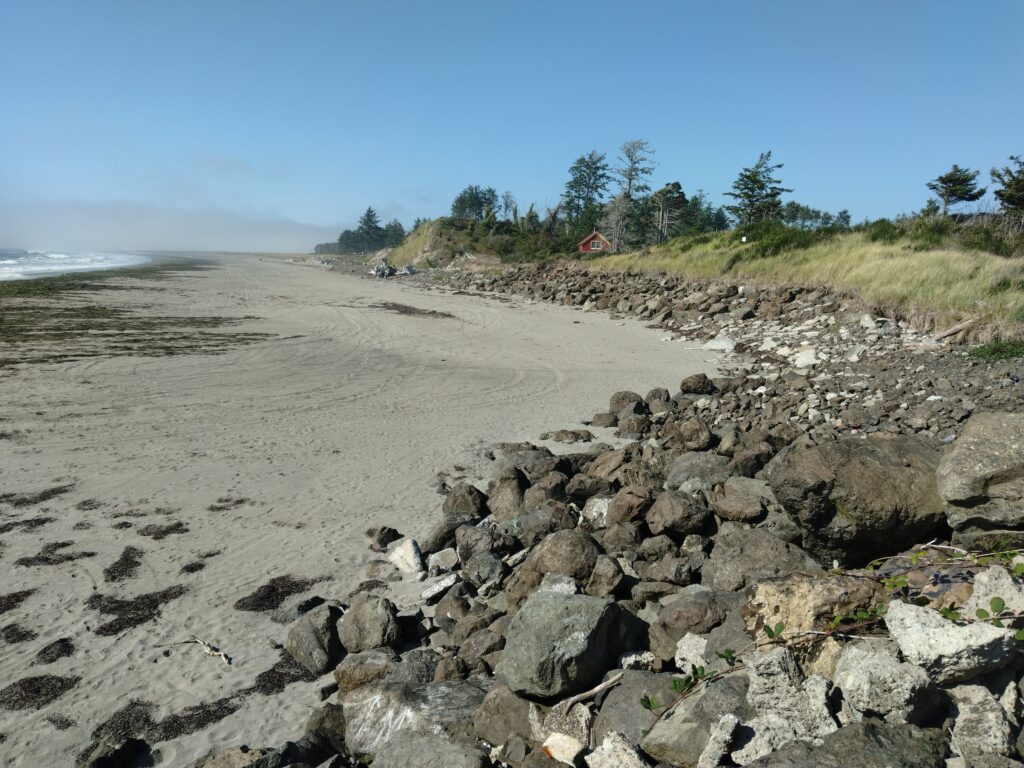 a rocky beach with trees and a hill in the background (MyCoast AI)