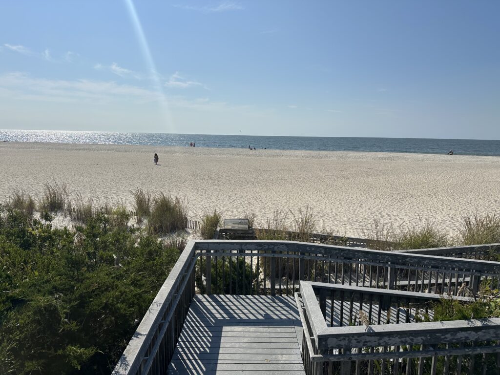 a person walking on a beach (MyCoast AI)