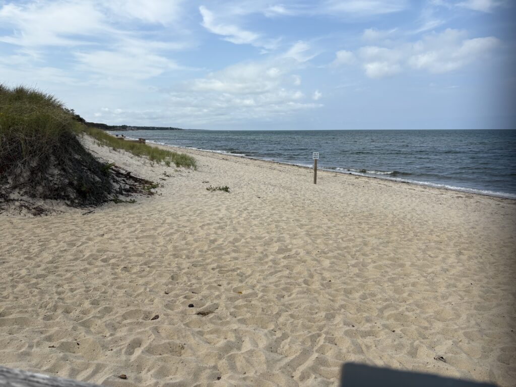 a sandy beach with a fence (MyCoast AI)