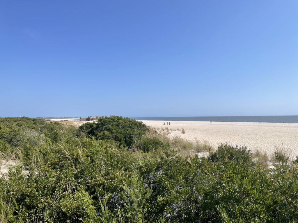 a landscape with trees and bushes (MyCoast AI)