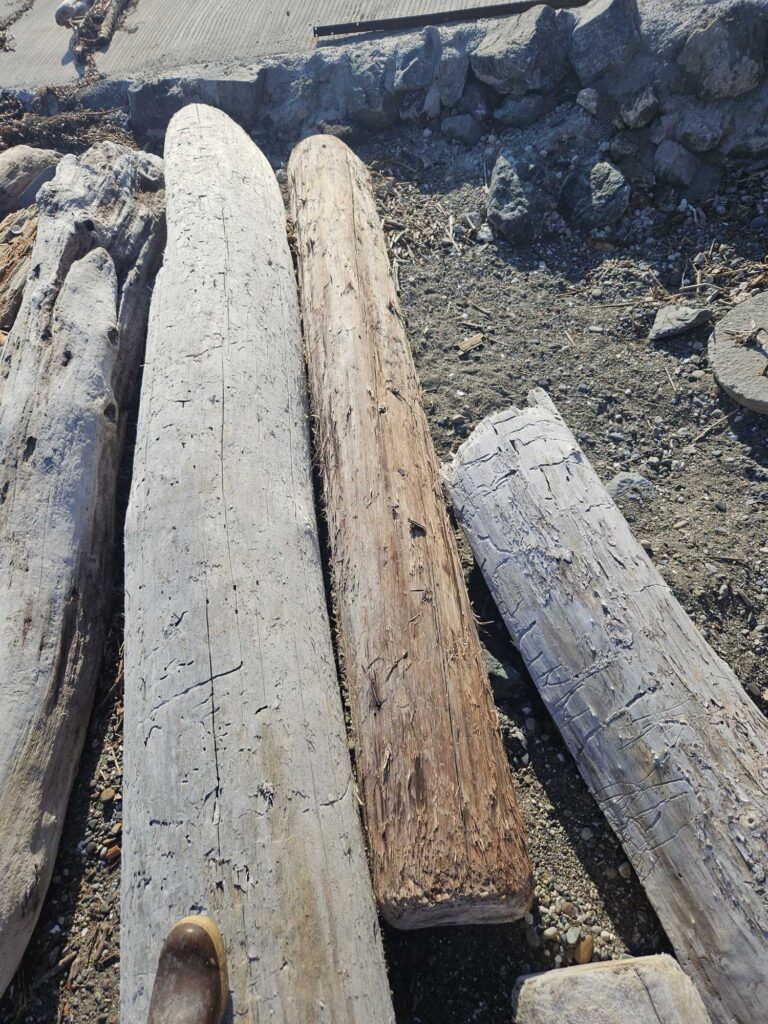 a close-up of some wood (MyCoast AI)