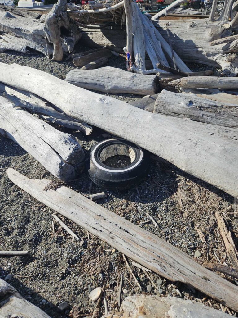 a broken toilet in a pile of wood (MyCoast AI)