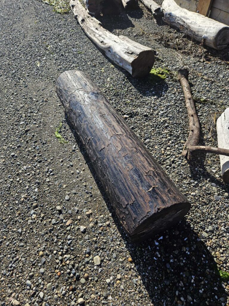 a wooden bench on the ground (MyCoast AI)