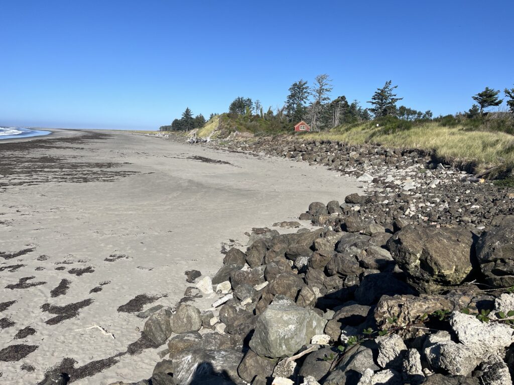 a rocky beach with trees and grass (MyCoast AI)