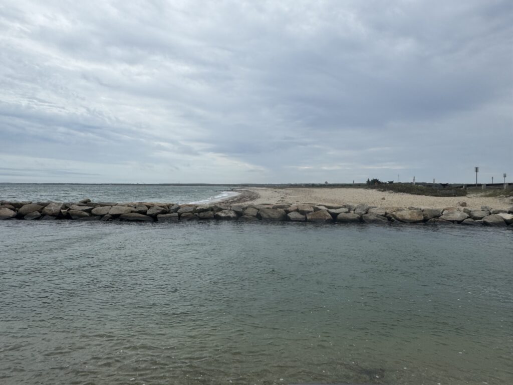 a rocky beach with a body of water in the background (MyCoast AI)