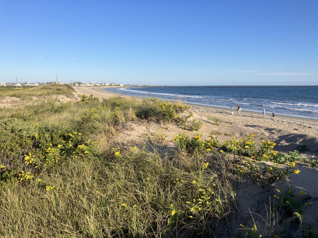 a beach with people walking on it (MyCoast AI)