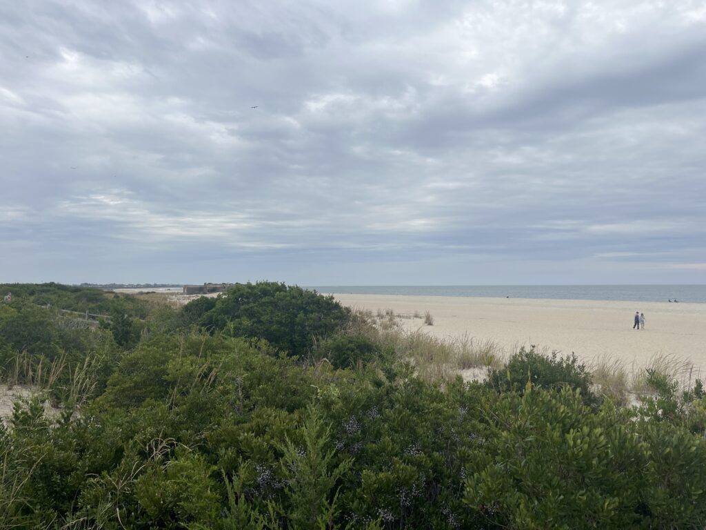 a person walking on a beach (MyCoast AI)
