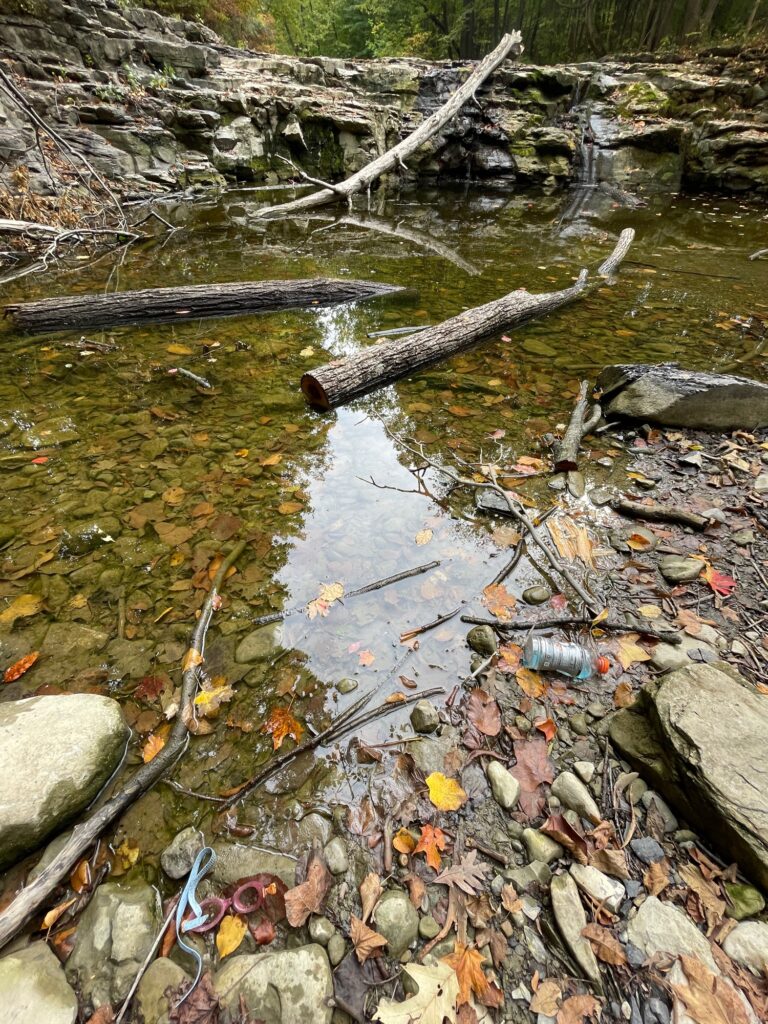 a stream with rocks and leaves (MyCoast AI)