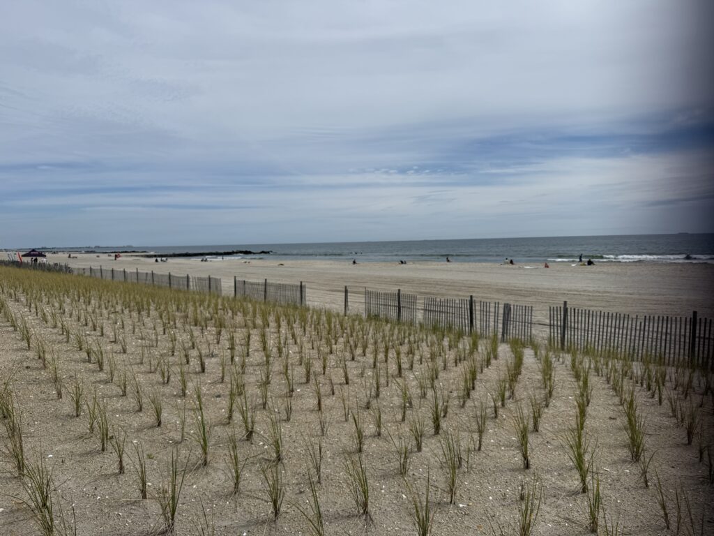 a beach with a fence and plants (MyCoast AI)
