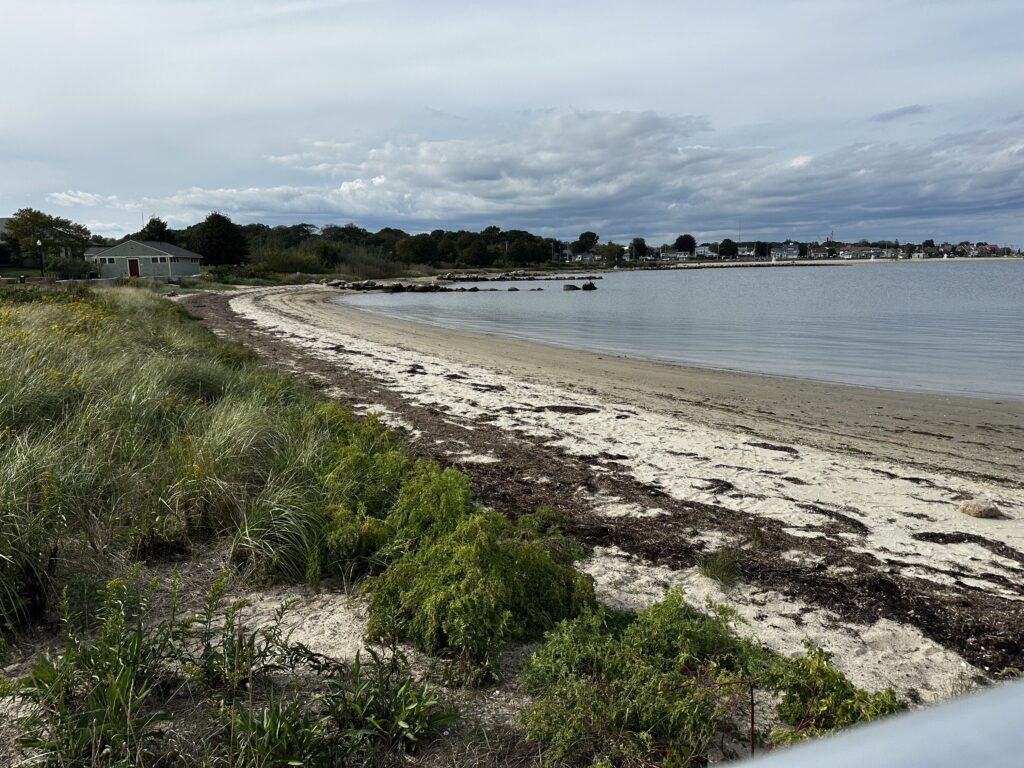 a beach with a body of water (MyCoast AI)