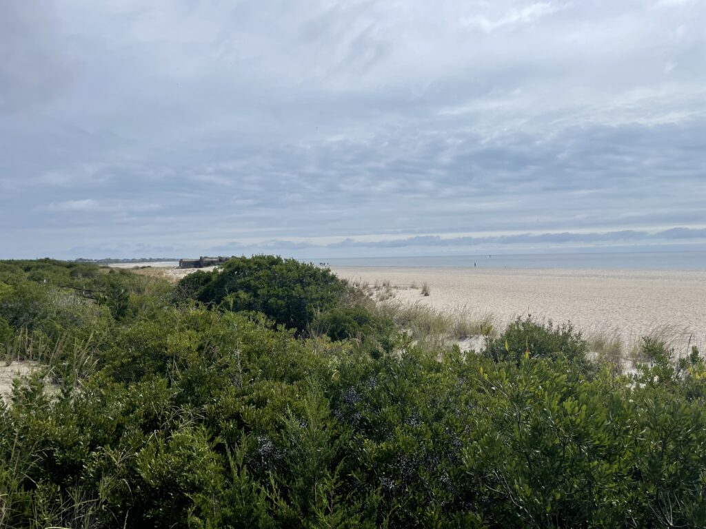 a landscape with trees and bushes (MyCoast AI)