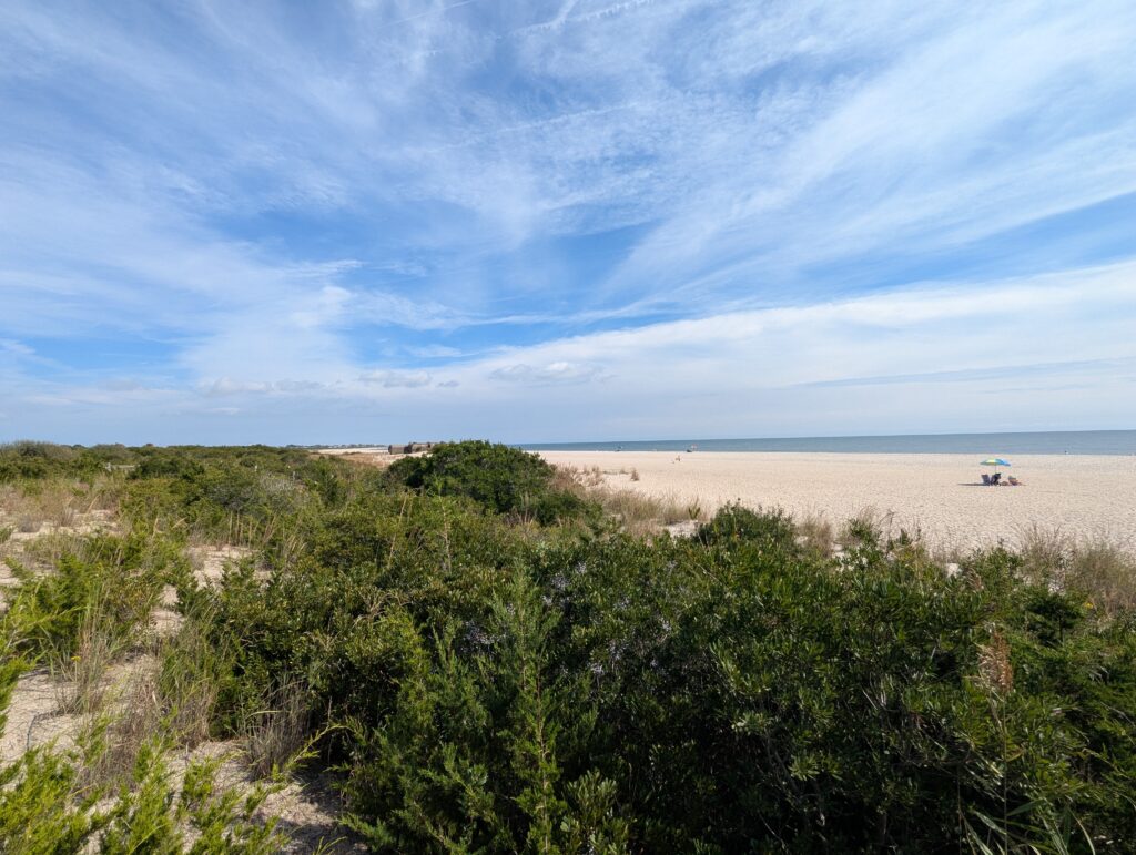 a sandy beach with bushes and trees (MyCoast AI)