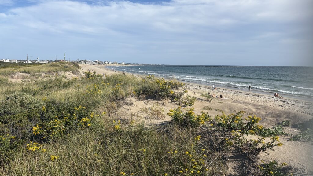 a beach with people and plants (MyCoast AI)