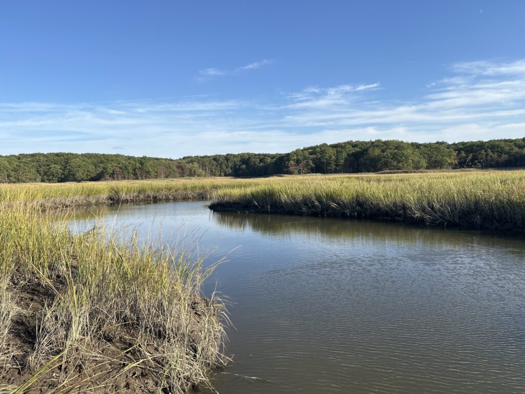 a body of water with grass and trees around it (MyCoast AI)