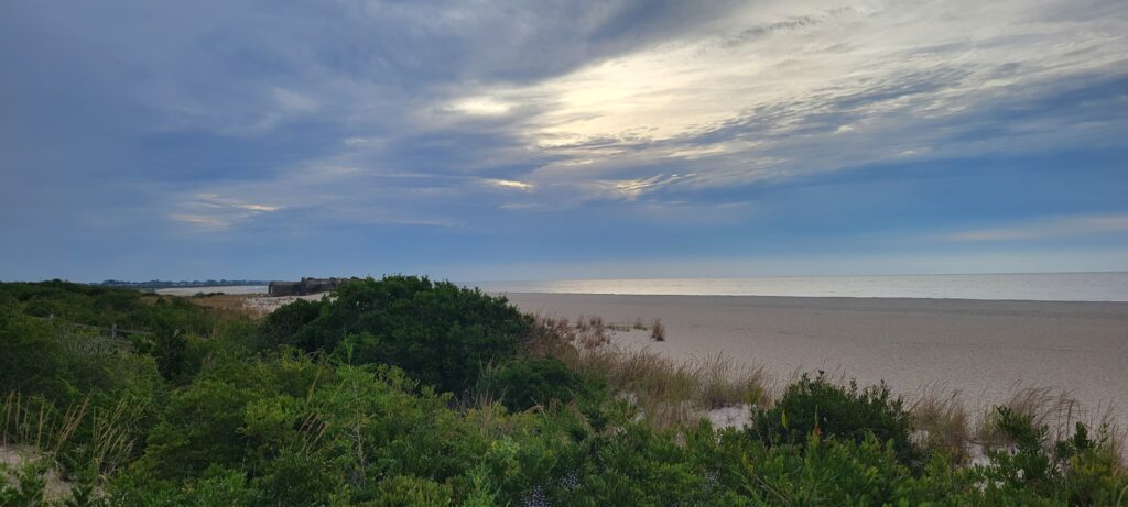a beach with bushes and trees (MyCoast AI)