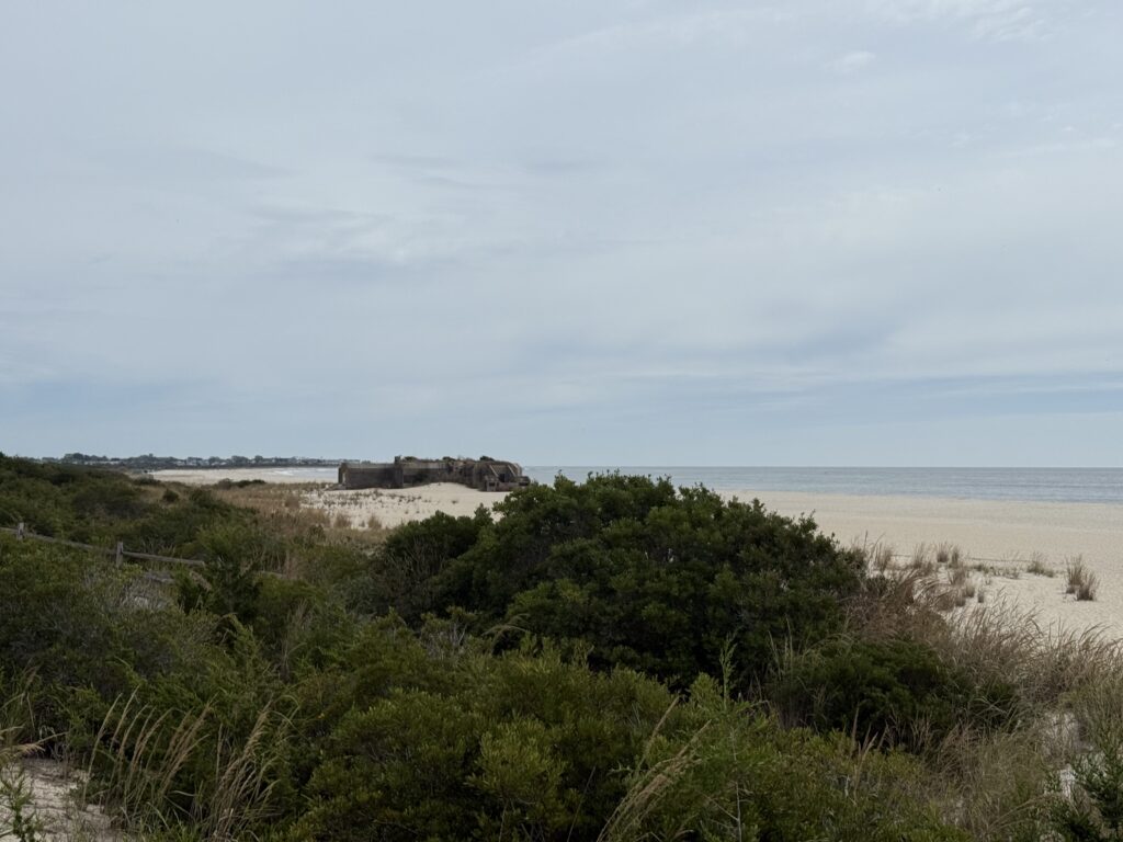 a beach with bushes and trees (MyCoast AI)
