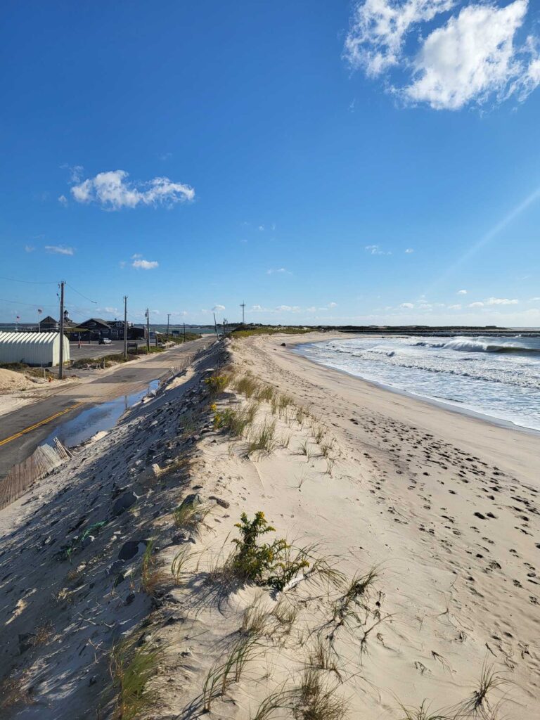 a sandy beach with water and buildings (MyCoast AI)