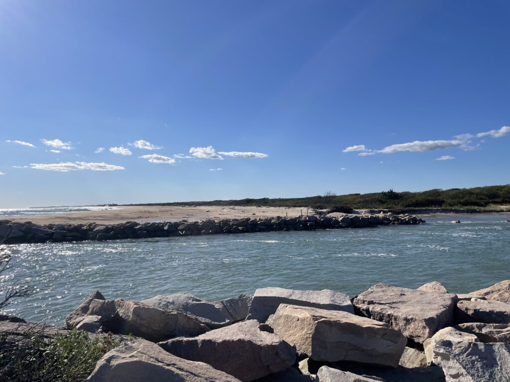 a rocky beach with a body of water in the background (MyCoast AI)