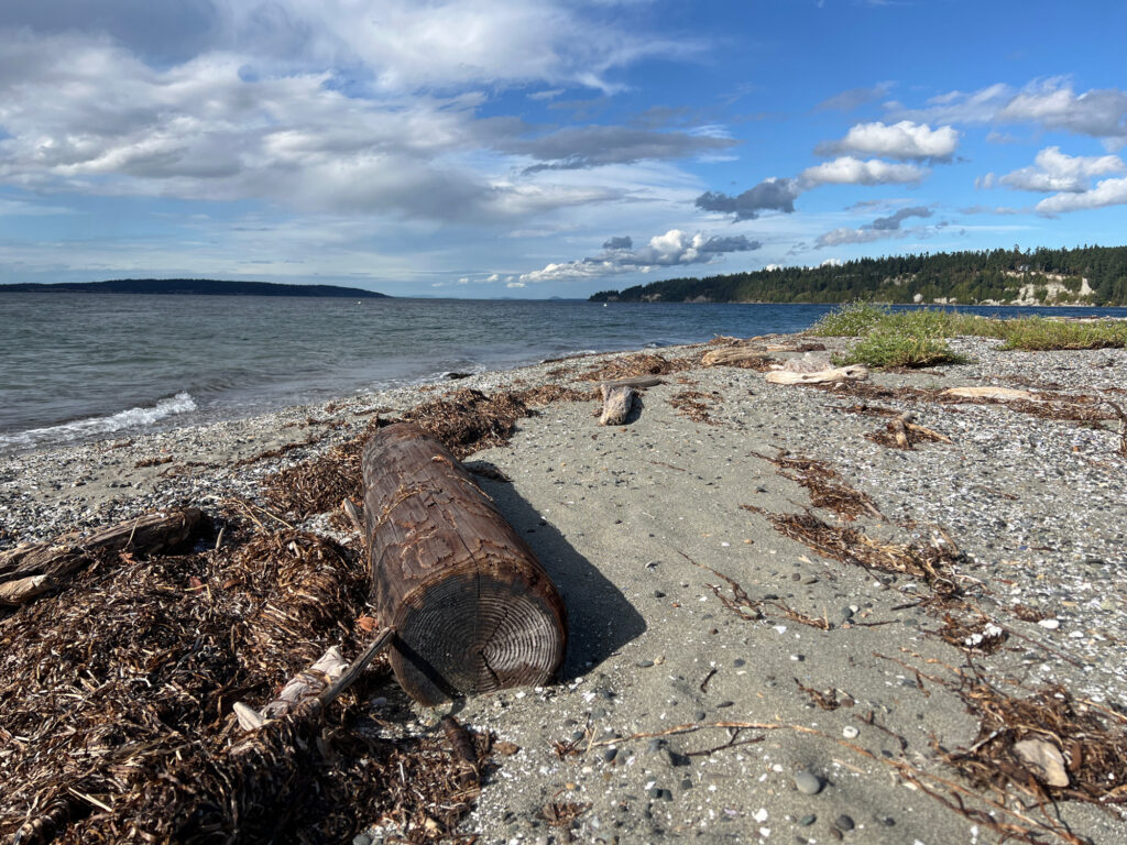 a beach with a log on it (MyCoast AI)