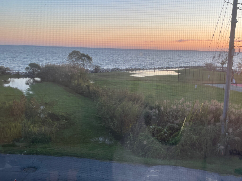 a grassy area with water in the background (MyCoast AI)