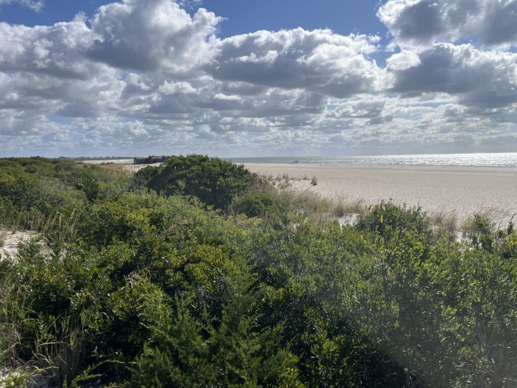 a beach with trees and a body of water in the background (MyCoast AI)