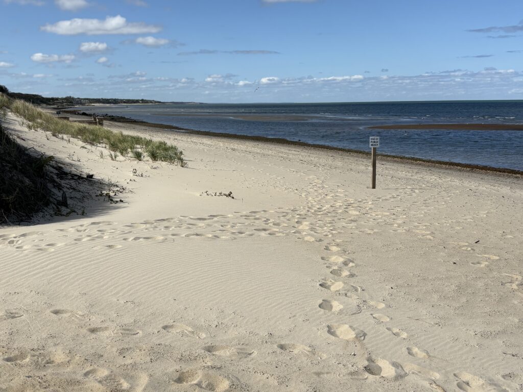 a sandy beach with a body of water in the background (MyCoast AI)