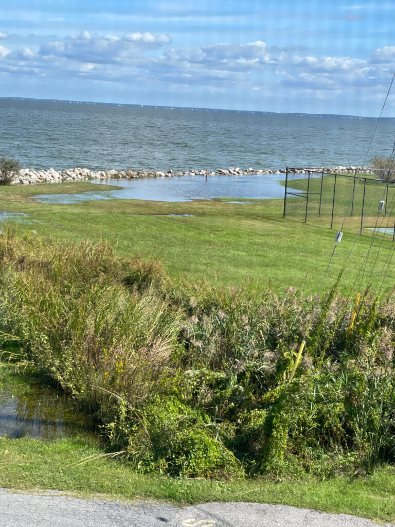 a grassy area with a body of water in the background (MyCoast AI)