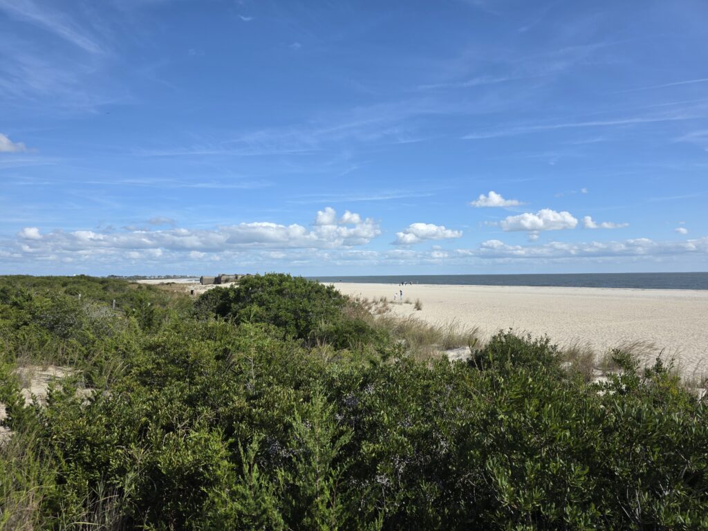 a landscape with trees and a body of water in the background (MyCoast AI)