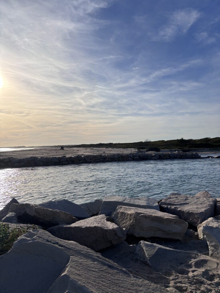 a rocky beach with a body of water in the background (MyCoast AI)