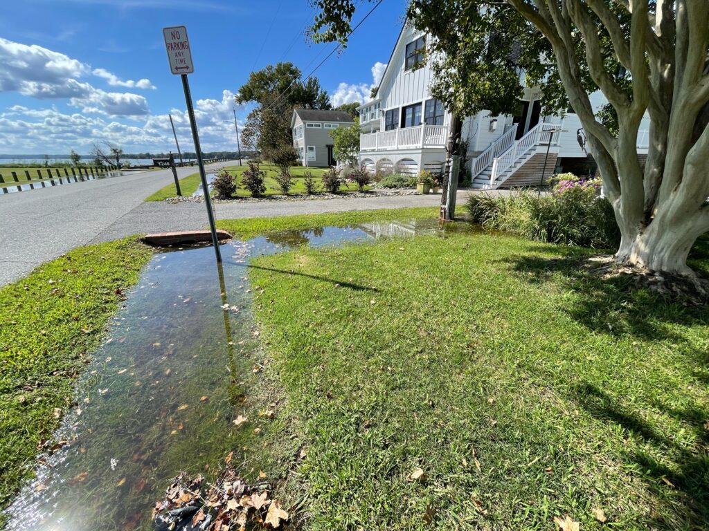 a small pond in a neighborhood (MyCoast AI)