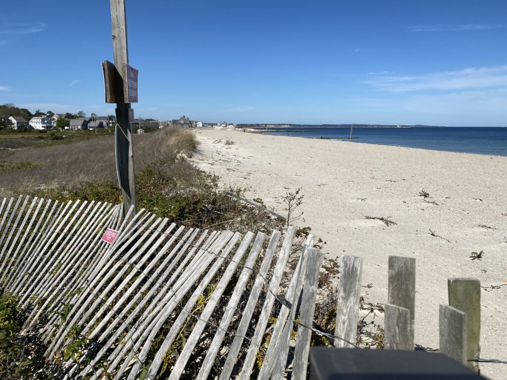 a beach with a fence (MyCoast AI)