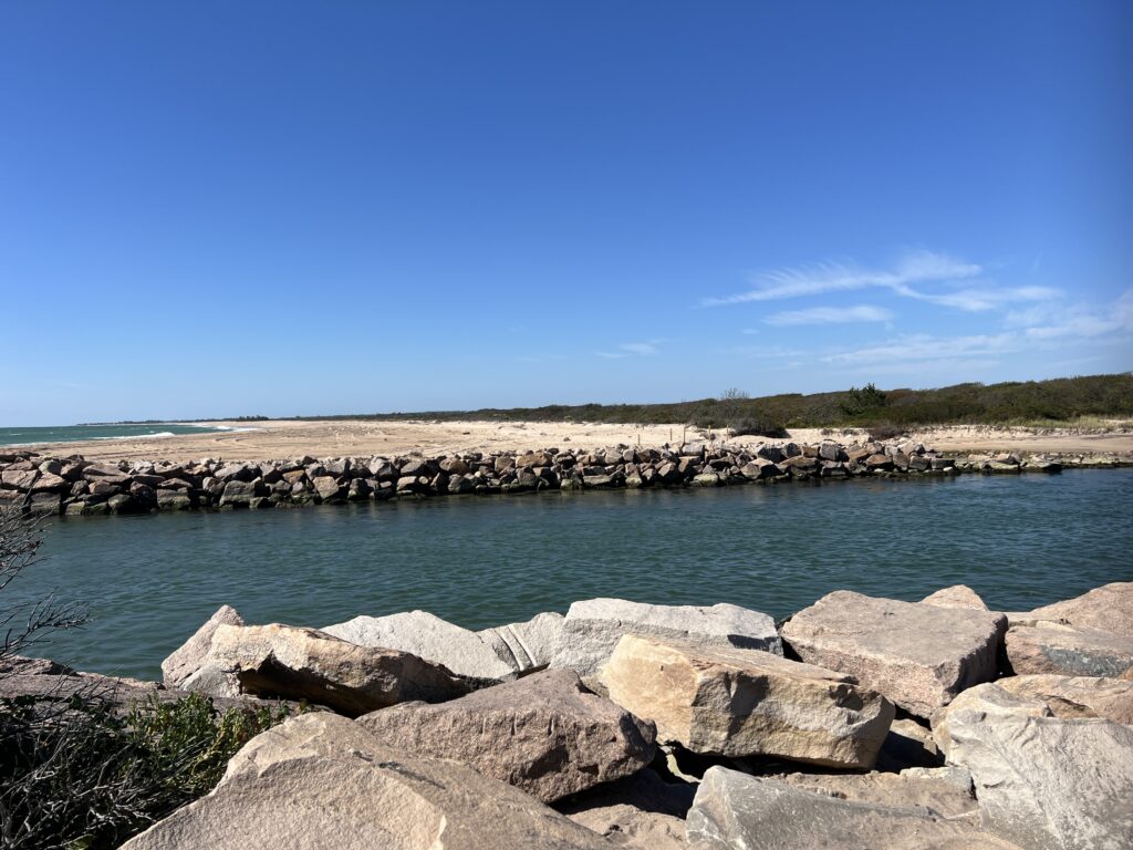 a body of water with rocks and a beach in the background (MyCoast AI)