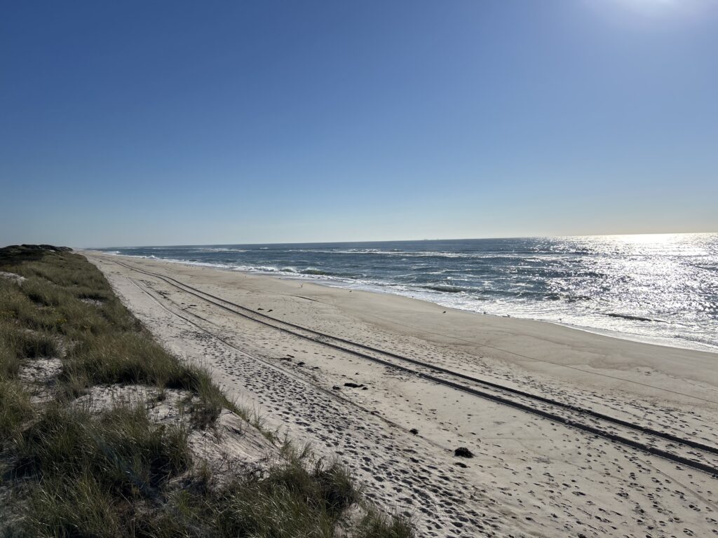 a sandy beach with waves crashing on it (MyCoast AI)