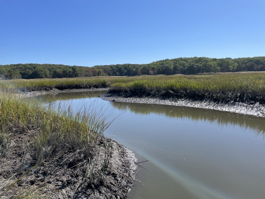 a body of water with grass and trees around it (MyCoast AI)