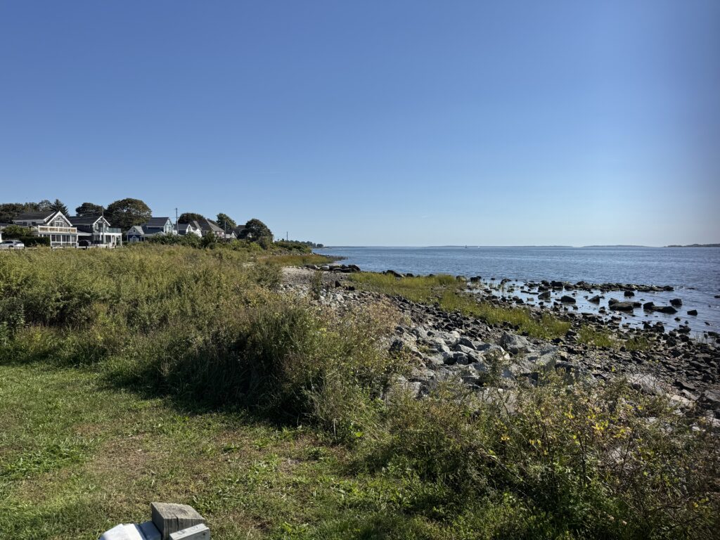 a grassy area next to a body of water (MyCoast AI)