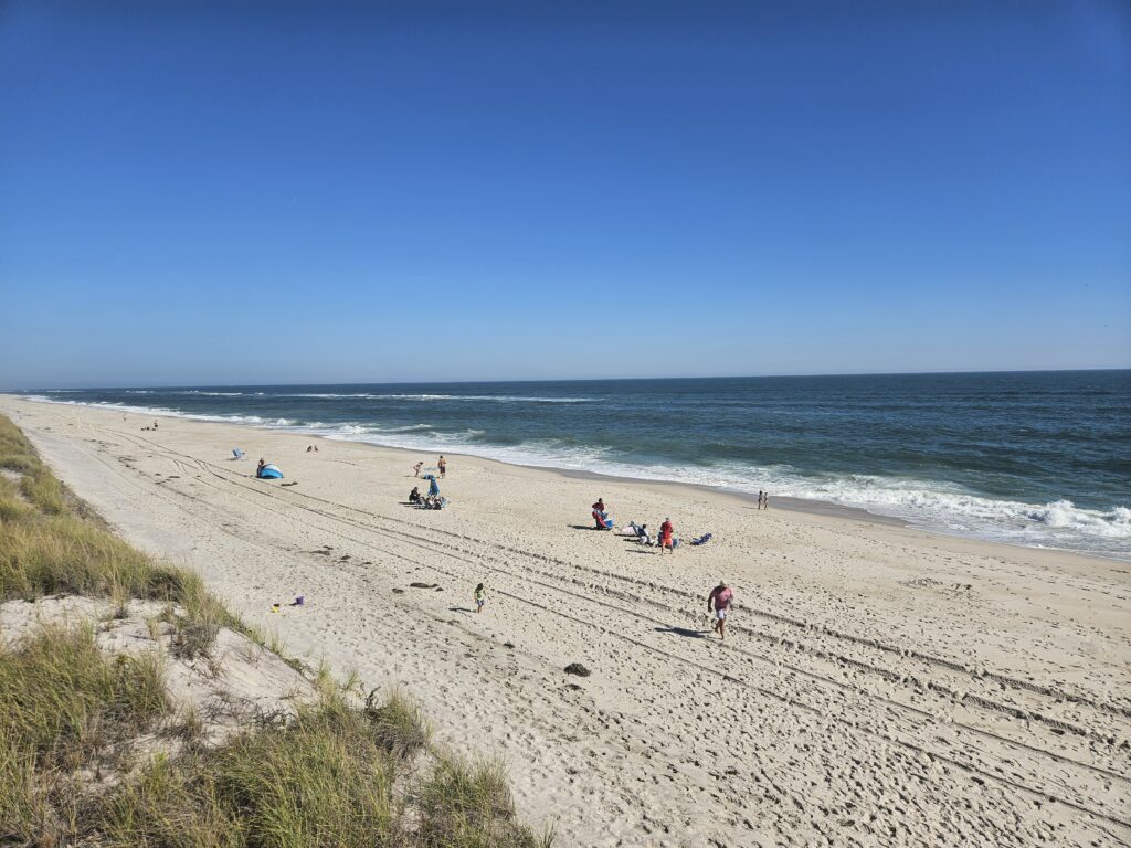 people on a beach (MyCoast AI)