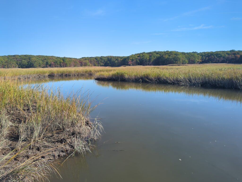 a body of water with grass and trees around it (MyCoast AI)