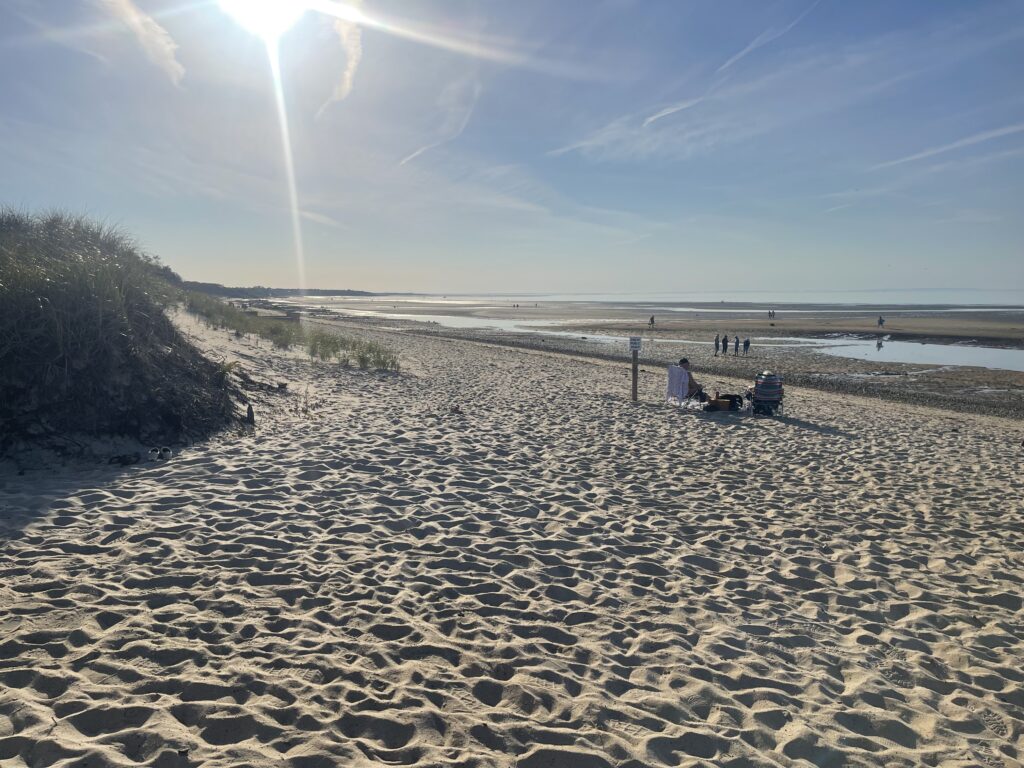a sandy beach with a chair and a person sitting on a chair (MyCoast AI)
