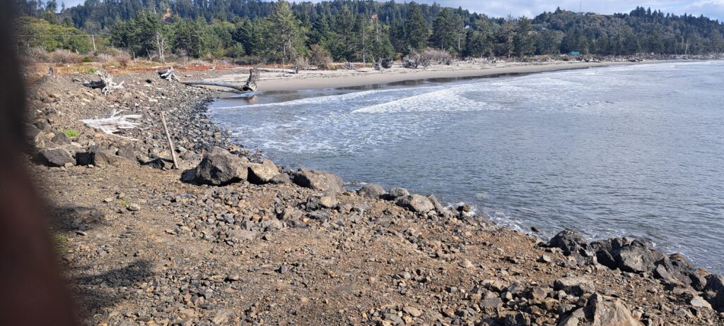 a rocky beach with trees in the background (MyCoast AI)