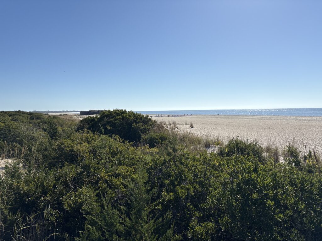 a landscape with trees and bushes (MyCoast AI)