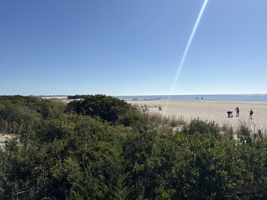 a group of people walking on a beach (MyCoast AI)