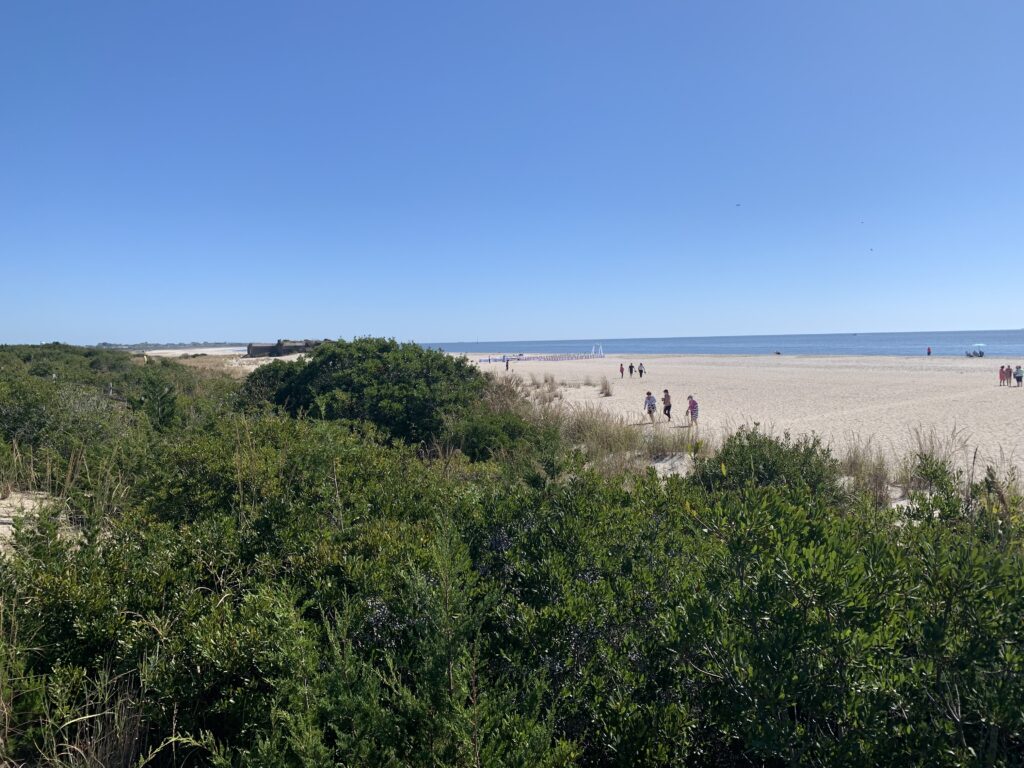 a group of people walking on a beach (MyCoast AI)