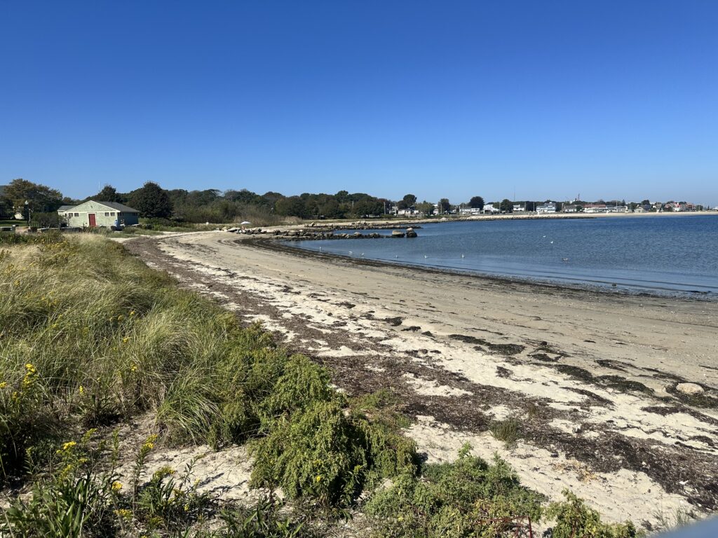 a sandy beach with a body of water and a land with houses (MyCoast AI)