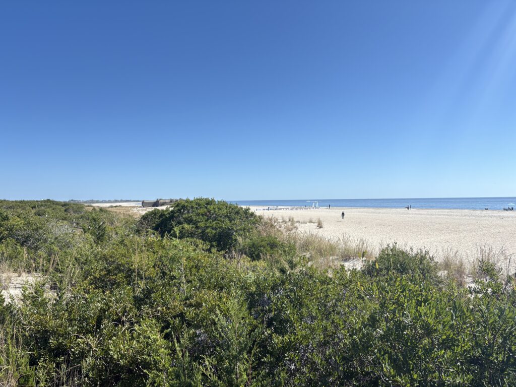 a beach with bushes and trees (MyCoast AI)