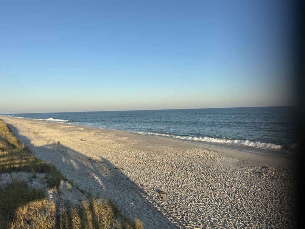 a beach with waves crashing on it (MyCoast AI)