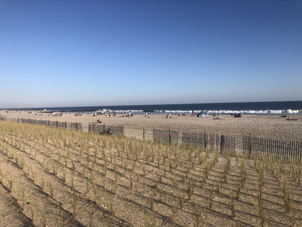a beach with a fence and a field with people in it (MyCoast AI)