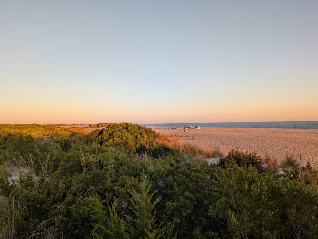 a landscape with trees and water in the background (MyCoast AI)