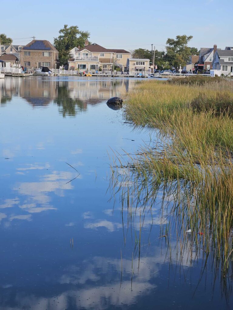 a body of water with grass and buildings around it (MyCoast AI)